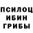 Псилоцибиновые грибы прущие грибы FreakA