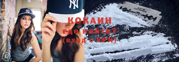 крисы Балахна